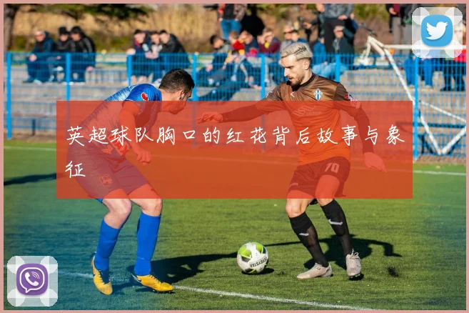 英超球队胸口的红花背后故事与象征