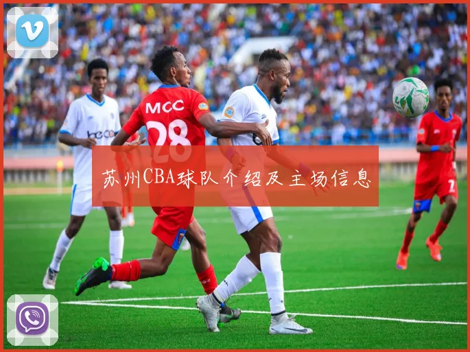 苏州CBA球队介绍及主场信息