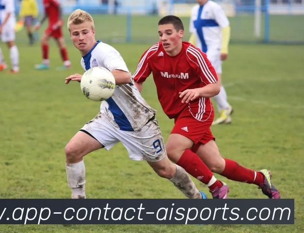 爱体育APP平台生态图